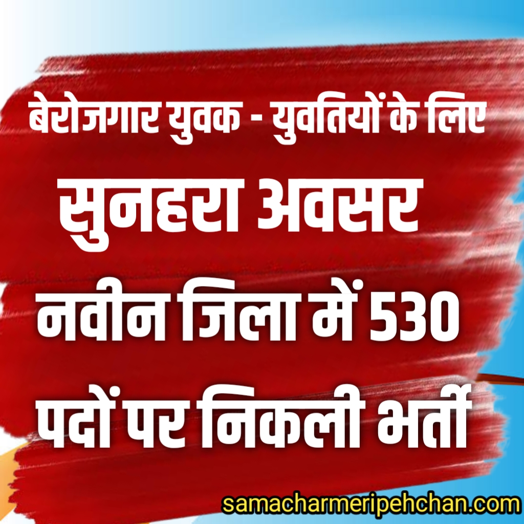 नवीन जिला सारंगढ़ – बिलाईगढ़ में बेरोजगार युवक – युवतियों के लिए सुनहरा अवसर 530 रिक्त पदों के लिए निकाली गई भर्ती