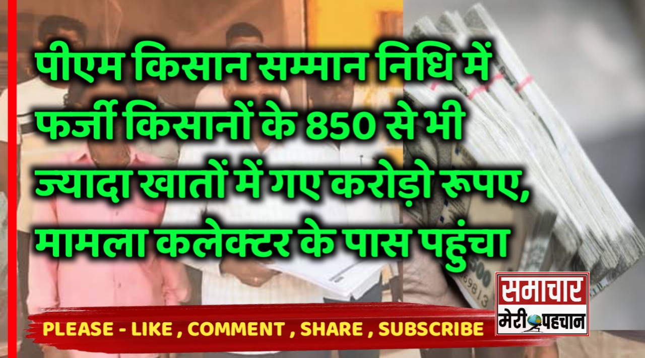 पीएम किसान सम्मान निधि में फर्जी किसानों के 850 से भी ज्यादा खातों में गए करोड़ो रूपए, मामला कलेक्टर के पास पहुंचा- Bemetara News