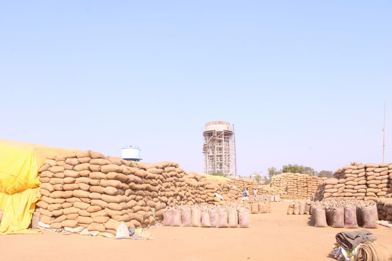 1 समिति प्रबंधक, 2 सहायक समिति प्रबंधक और 1 फड़ प्रभारी पर धान खरीदी कराने के लिए लगी रोक – Samachar Meri Pehchan